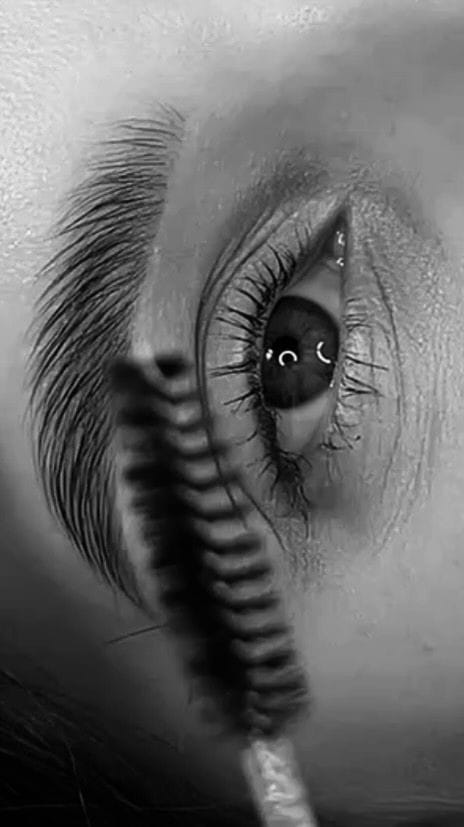 Curso Experta en Cejas