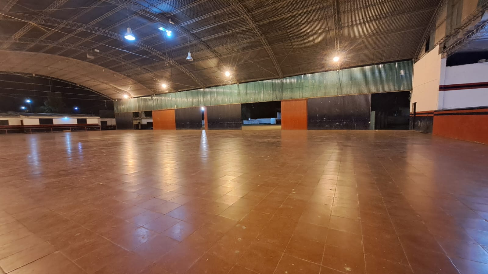 Shows en vivo